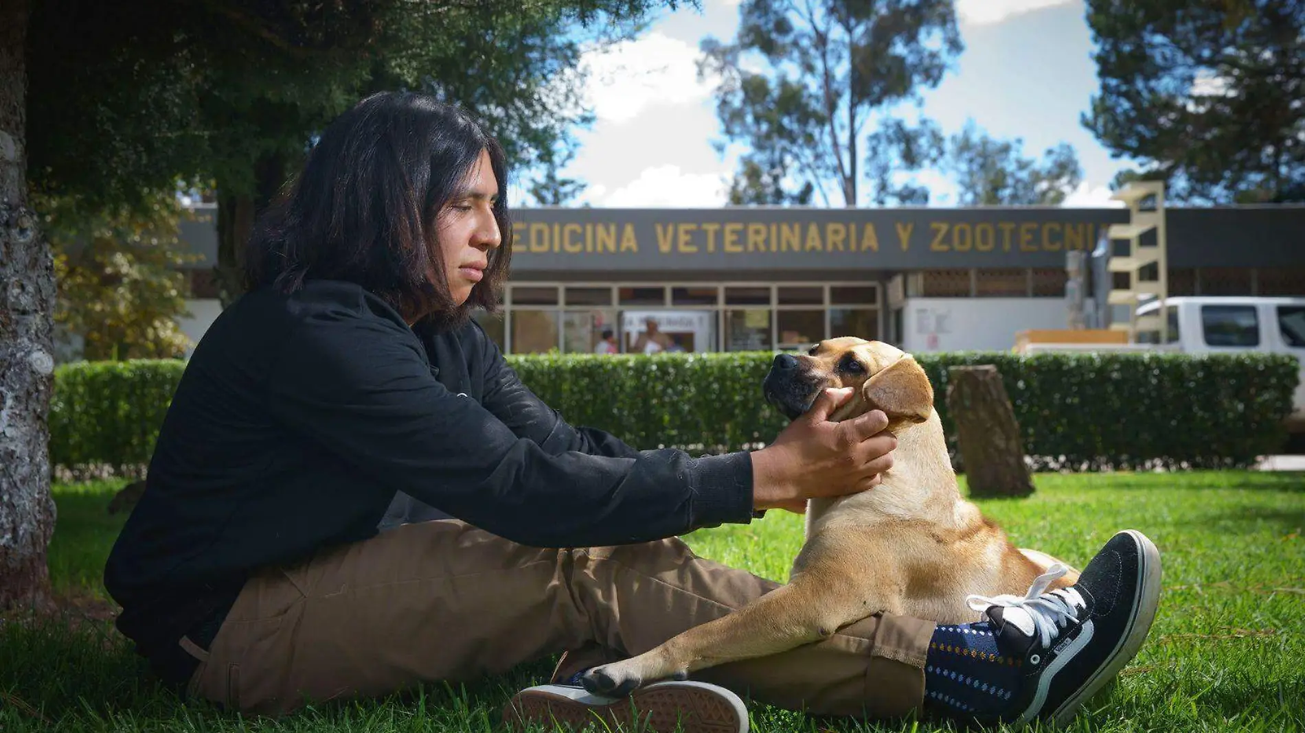 perro rehabilitador